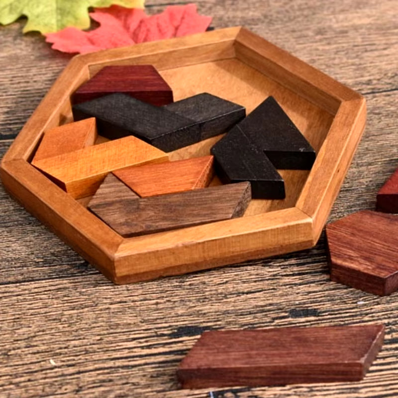 Hexagonal Wooden Puzzle IQ Game for Kids